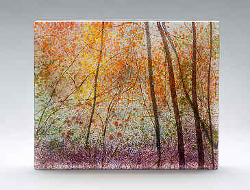 Autumn Light Through the Woods, 2022, 8" x 10" x 1&frac14;", kiln-formed glass