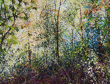 Autumn Transformation, 2023, 36" x 48", acrylic on canvas
