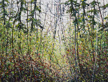 Forest Passage, 2023, 36" x 48", acrylic on canvas