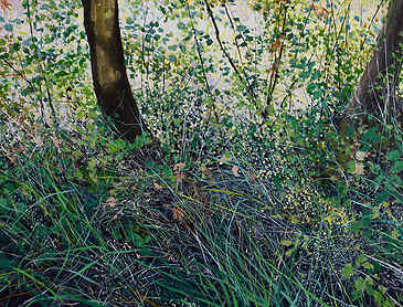Midsummer, 2022, 36" x 48", acrylic on canvas