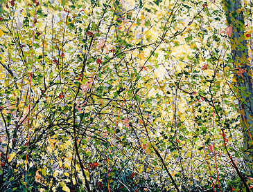 Sunlit Woods, 2024, 30" x 48", acrylic on canvas
