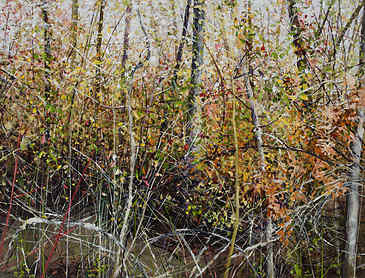 Autumn Labyrinth, 2016, 36" x 48", acrylic on canvas