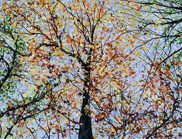 Autumn, Looking Up, 2019, 7" x 11", acrylic on paper