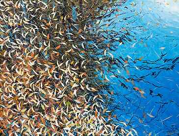 Autumn Trove, 2025, 36" x 48", acrylic on canvas