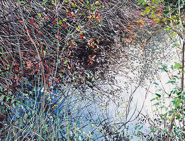 Beaver Lake #1, 2016, 36" x 48", acrylic on canvas