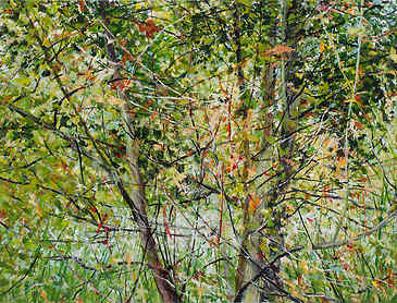 Between Summer and Fall, 2017, 30" x 40", acrylic on canvas
