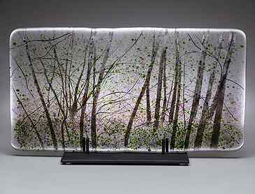 Birch Spring, 2019, 8" x 15" x 0.4", kiln-formed glass, SOLD