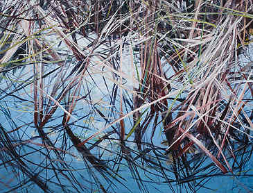 Cattails, 2016, 30" x 40", acrylic on canvas