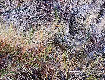 Currents, 2018, 36" x 48", acrylic on canvas, SOLD
