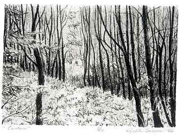 Curtain, 2006, 7" x 10", lithograph