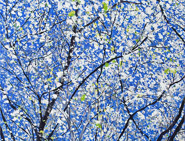 Dogwood Bloom Returns, 2022, 30" x 30", acrylic on canvas, SOLD