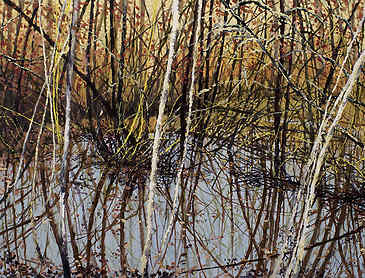 Estuary Patterns, 2012, 18" x 24", acrylic on canvas