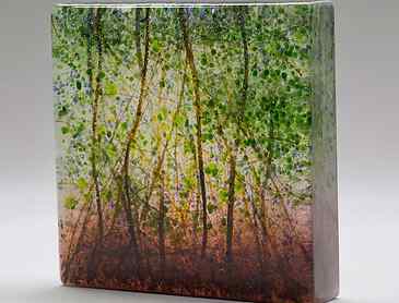 Evening Woods, 2020, 6" x 6" x 1¼", kiln-formed glass, SOLD