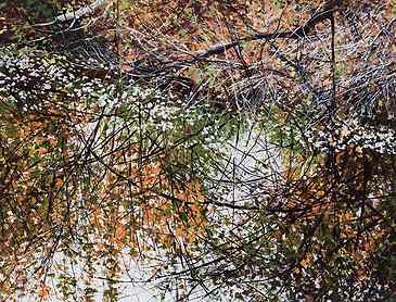 Fall at the Water's Edge, 2018, 30" x 40", acrylic on canvas, SOLD