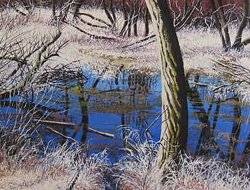 Fall Comes to Oaks Bottom, 2010, 36" x 48", acrylic on canvas