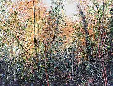Fall Comes to the Canyon, 2018, 36" x 48", acrylic on canvas, SOLD