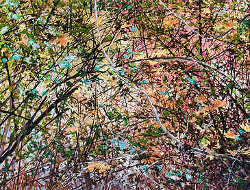Fall Flickers, 2016, 36" x 48", acrylic on canvas, SOLD