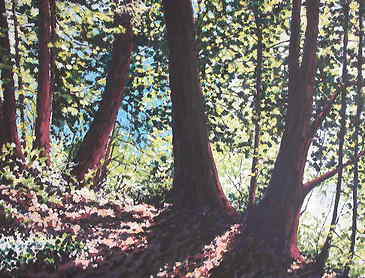 Fall Shadows, 2006, 30" x 36", acrylic on canvas, SOLD