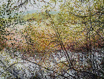 Fall Tangle in the Estuary, 2016, 30" x 40", acrylic on canvas