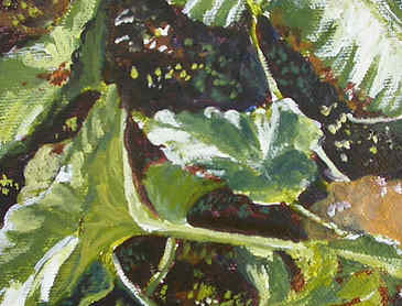 Field Study #5, 2007, 5" x 5", acrylic on canvas