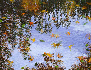 Floating World, 2025, 30" x 40", acrylic on canvas