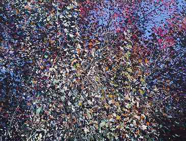 Flourish, 2021, 36" x 48", acrylic on canvas, SOLD