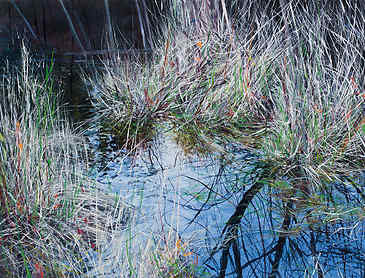 Grasses, 2017, 36" x 48", acrylic on canvas, SOLD