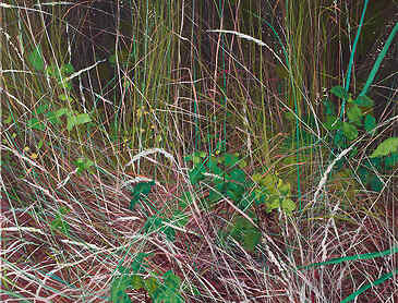Grasses, 2022, 48" x 36", acrylic on canvas