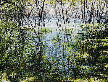 Haven, 2017, 48" x 72", acrylic on canvas