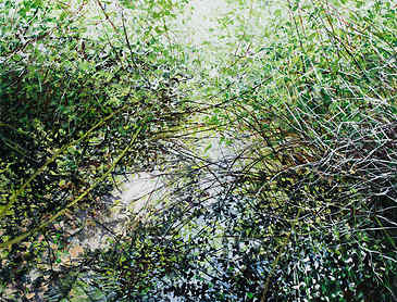 Inlet, 2016, 30" x 36", acrylic on canvas