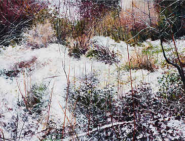 Islands in the Snow, 2017, 48" x 72", acrylic on canvas, SOLD