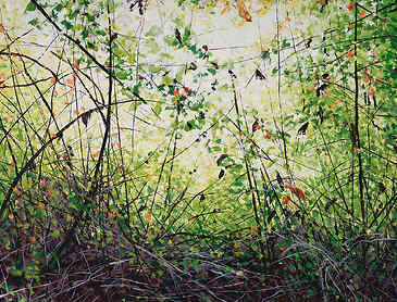 Late Summer Light, 2023, 30" x 40", acrylic on canvas