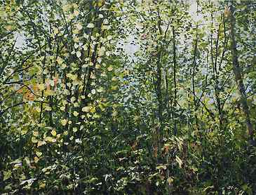 Light Capture, 2020, 36" x 48", acrylic on canvas, SOLD