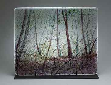 Light Through the Canopy, 2015, 16" x 20" x 0.4", kiln-formed glass, SOLD