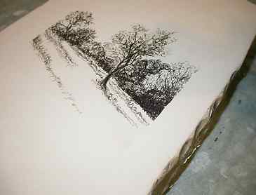 Drawn image, Close-up view of the drawn image