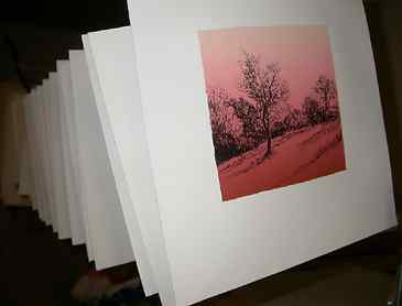 Step 4: Drying, Once finished, prints are hung to dry
