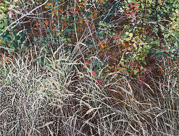 Oak Island Tangle, 2022, 30" x 30", acrylic on canvas