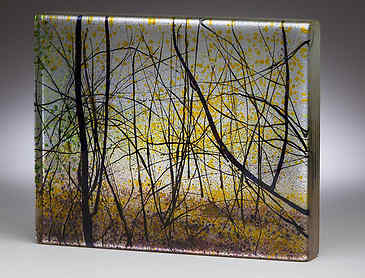 Oaks Bottom Tangle, 2016, 8" x 10" x 1¼", kiln-formed glass, SOLD