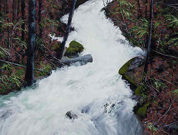 Opal Falls, 2016, 30" x 40", acrylic on canvas