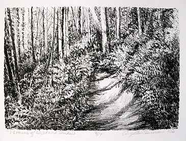 Patterns of Light and Shadow, 2006, 7" x 10", lithograph