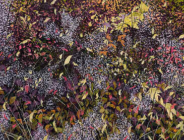 Profusion, 2023, 36" x 48", acrylic on canvas