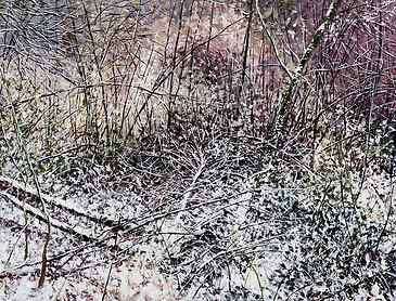 Reed Canyon Winter, 2019, 30" x 40", acrylic on canvas