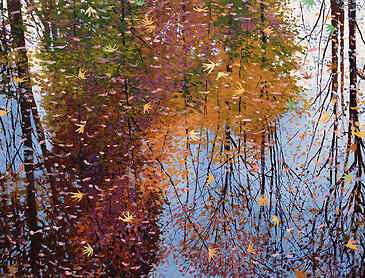Reflected Memory, 2024, 30" x 48", acrylic on canvas