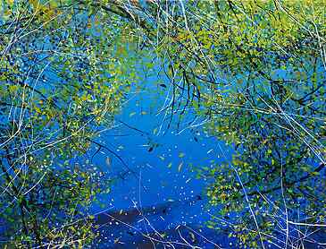 Scatterings, 2025, 30" x 40", acrylic on canvas