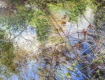 Signs of Clearing, 2017, 48" x 60", acrylic on canvas, SOLD