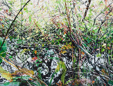 Skunk Cabbage, 2016, 18" x 24", acrylic on canvas
