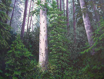 Soaring, 2008, 30" x 36", acrylic on canvas