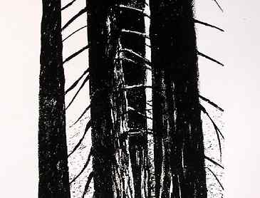 Spines and Ribs, 2006, 8½" x 5", lithograph