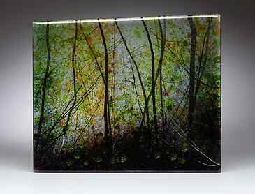 Spring Equinox Tilt, 2020, 8½" x 10½" x 1¼", kiln-formed glass, SOLD