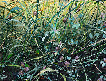 Summer Clover, 2025, 20" x 16", acrylic on canvas